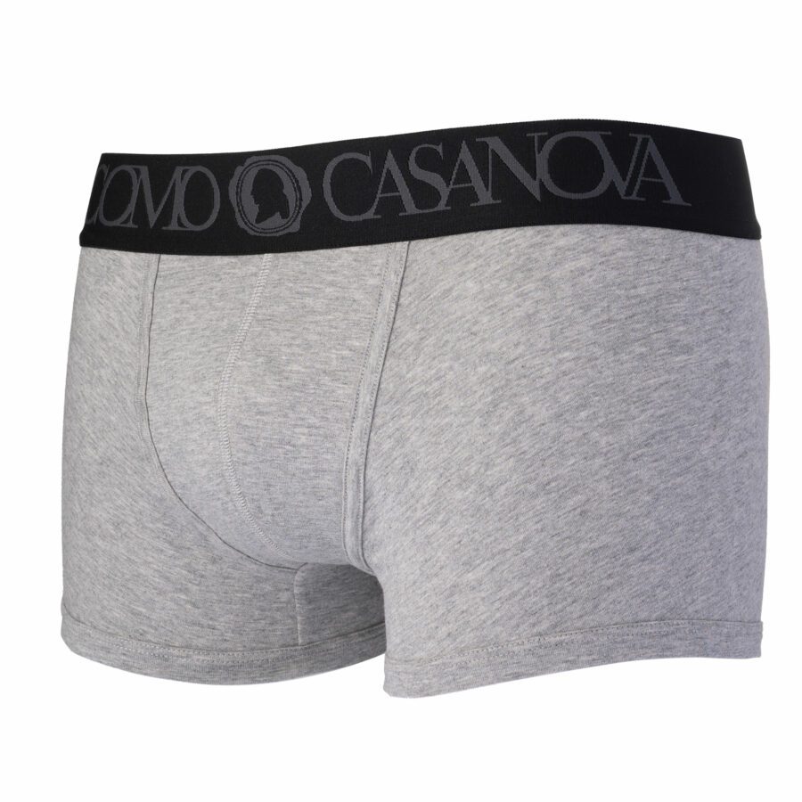 Grey boxer with a black waistband