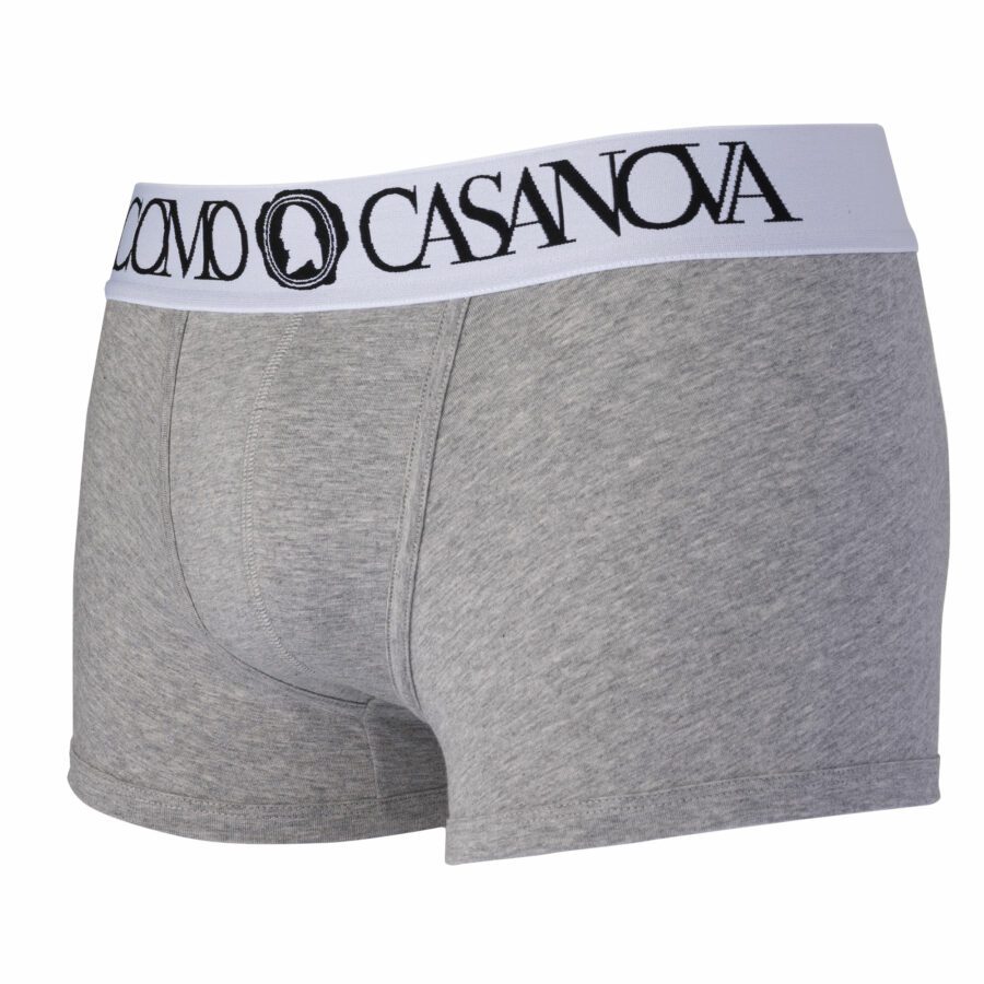 Grey boxer with a white waistband