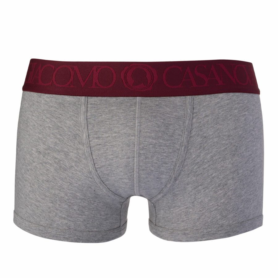 Grey boxer with a bordeaux waistband